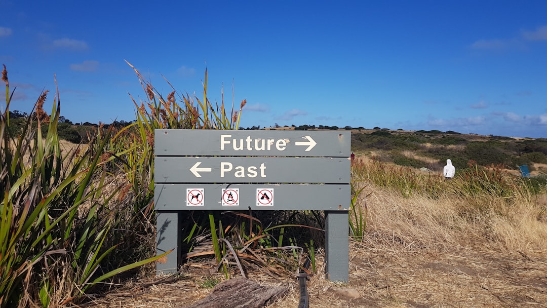 future career path