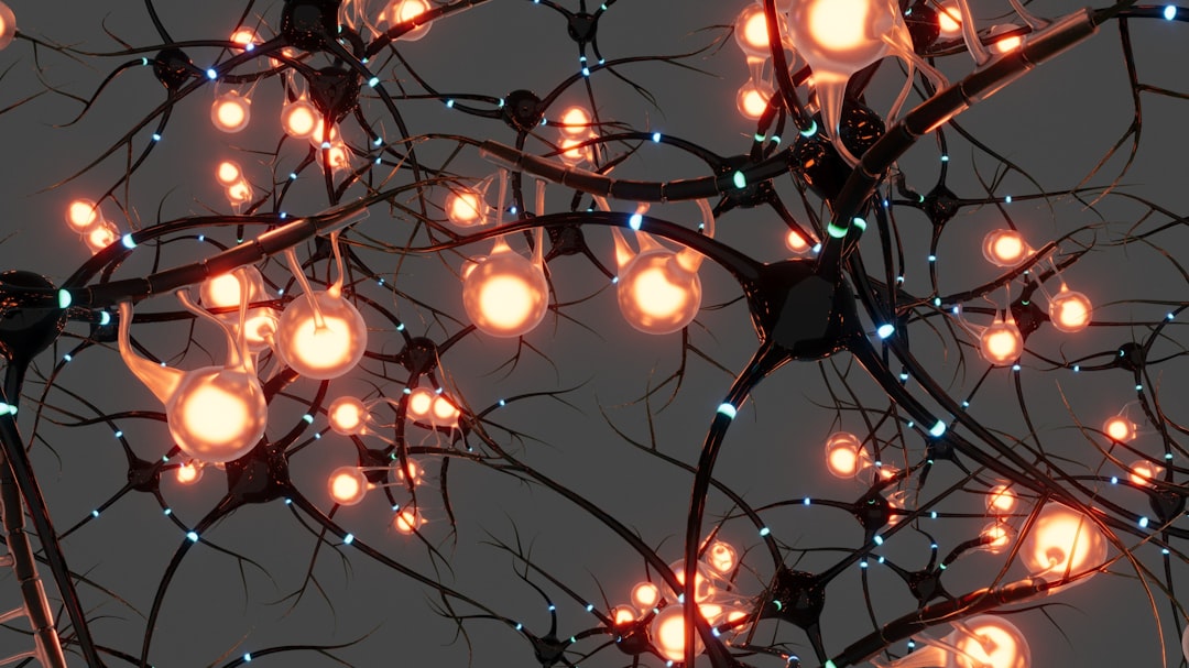 neural network visualization
