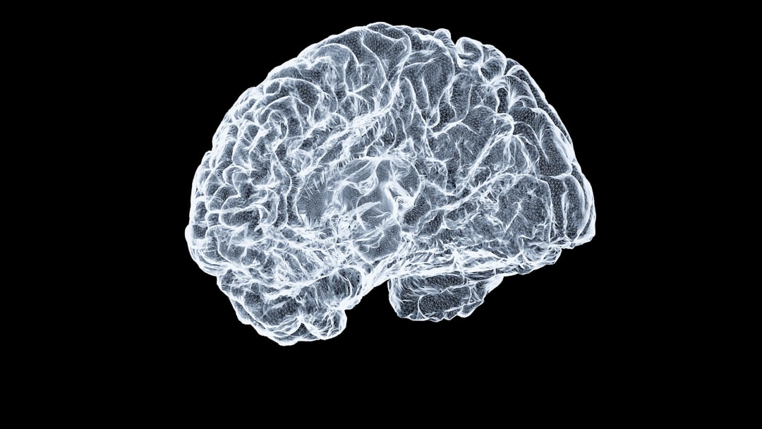 human brain neurons connection